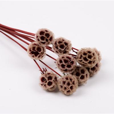 China Green cheap promotional flower arrangement home gift environmental protection sun simple fruit in decoration for sale