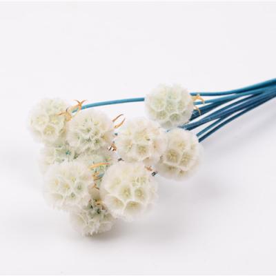 China Green Environmental Protection Best Sellers Wedding Decorations , Flower Shooting Props Windmill Eternal Fruit for sale