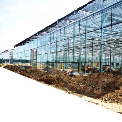 China Stable Structure Easily Assembled South Africa Multi-span Glass Mood Greenhouse Glass Greenhouse With Cucumber Hydroponics System for sale