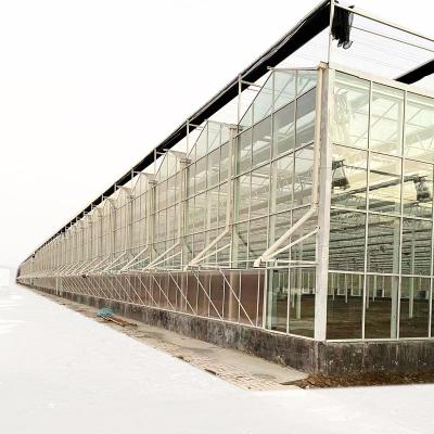 China Stable Structure Easily Assembled Low Cost Agricultural Greenhouses Glass Grow Greenhouse Multi-span Glass Greenhouse for sale