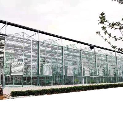 China Stable Structure Easily Assembled Glass Greenhouse Kits For Sale Productive Multi-span Greenhouse Glass Agriculture Greenhouse for sale