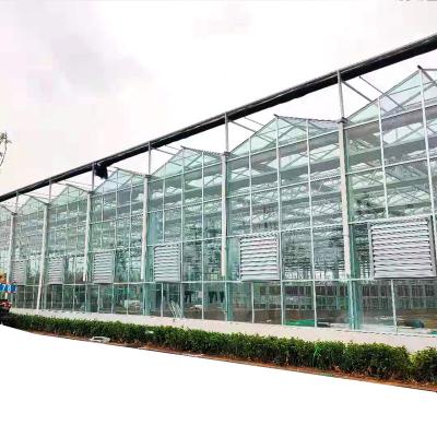 China Stable Structure Easily Assembled Venlo Glass Greenhouse Multi-span Glass Greenhouse With Lettuce Grow Hydroponic Growing System for sale