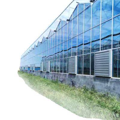 China Stable Structure Easily Assembled Glass Greenhouses For Farm Agriculture Equipment Greenhouse Multi-span Agricultural Glass Greenhouse for sale