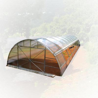 China Stable Structure Easily Assembled Professional Design Tunnel Plastic Film Greenhouse for sale