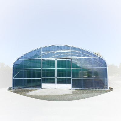 China Stable Structure Easily Assembled Commercial Plastic Sheet Tunnel Greenhouse Agricultural Vegetable Greenhouse For Sale for sale