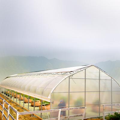 China Stable Structure Easily Assembled Single-Span Film Greenhouse Equipped Fertigation Doser With Retractable Roof Systems Greenhouses Sale for sale