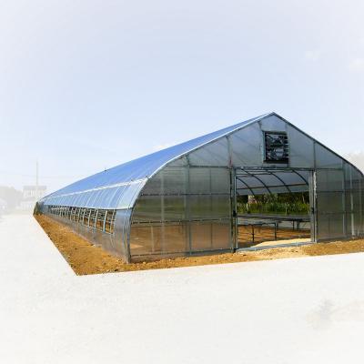 China Stable Structure Easily Assembled Hot Sale High Quality Plastic Sheet Tunnel Greenhouse Agricultural Greenhouse for sale