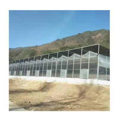 China Vegetable Hot Sale Flowers Fruits Agricultural Solar Panel Polycarbonate Greenhouse for sale