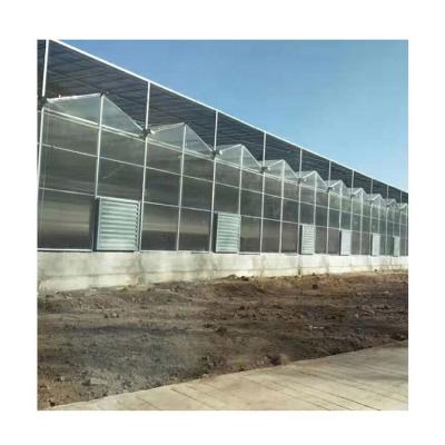 China China Fruit Vegetable Flowers Outstanding Quality Solar Panel Polycarbonate Sheet Greenhouse for sale