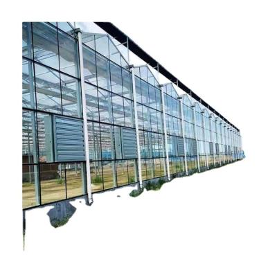 China China Offer Vegetable Professional Large Size Polycarbonate Fruit Flowers Sunlight Sunlight Outdoor Solar Panel Greenhouse for sale