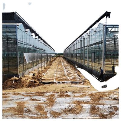 China High Grade Vegetable Flowers Fruits Commercial Luxury Solar Panel Greenhouse Growing For Vegetables Cultivation for sale