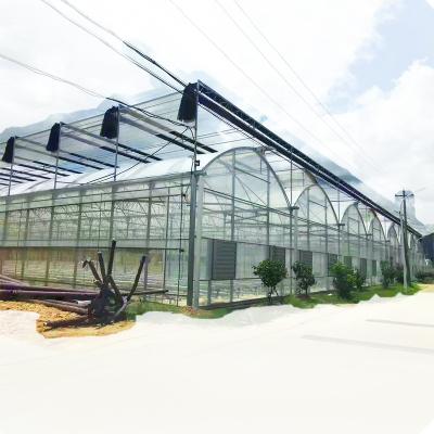 China Stable Structure Easily Assembled Low Cost Multi-span Commercial And PO Film Agricultural Greenhouses With Irrigation System for sale