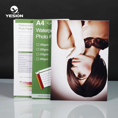 China Glossy Photo Paper , 115g - 260g Premium High Glossy Inkjet Paper GP for sale