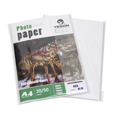 China 2020 Yesion High Glossy Inkjet Sticker Photo 115g/135g/150g Self Adhesive Paper, A4 X50 Sheets Cover And Roll for sale