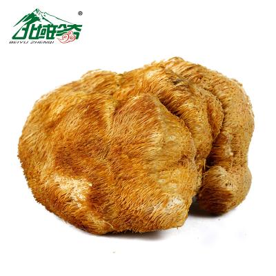 China Wholesale Dry Most Popular Pure and Natural Hericium Erinaceus 1/6 Supply Edible and Supplement Hericium Erinaceus Extract, for sale