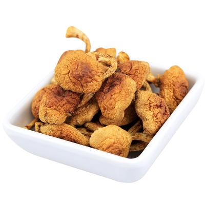 China nameko mushroom dry artificial mushrooms for sale