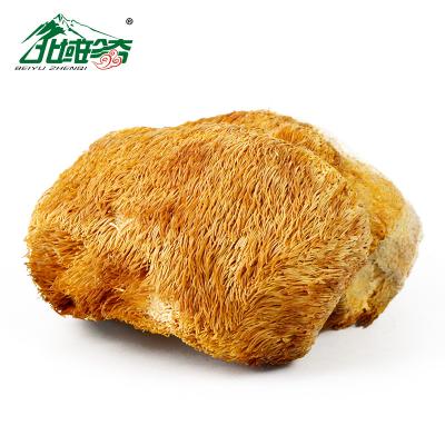 China Chinese Supply Dry Organic Hericium Erinaceus Mushroom Dried Lions Mane Mushroom Hericium Erinaceus Pure Bulk Extract Hericium for sale