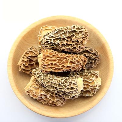 China China Newest Cultivation Dried High Quality Organic Dried Nightshade Mushrooms Guaranteed Quality Price Suitable Nightshades Mushrooms for sale