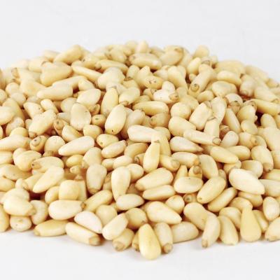 China Food Factory Wholesale Siberian Pine Nuts Kernels for sale