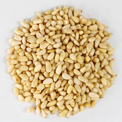 China Chinese Organic Food New Wholesale High Quality Vacuum Packed Bulk Nuts Food Culture Shelled Siberian Pine Nuts for sale