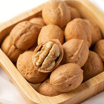 China Dried Walnut Manufacturers For Wholesale Fresh Nut Snacks Thin Skin Walnut for sale