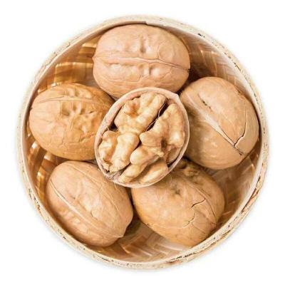 China Wholesale Pure Natural Organic Walnut Thin Paper Shell Dry Nutritious Cheap Price Factory Price Dry Skin for sale