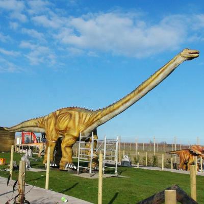 China Diplodocus Animatronic Playground Real Dinosaurs Size Amusement Park Theme / Dinosaur for sale