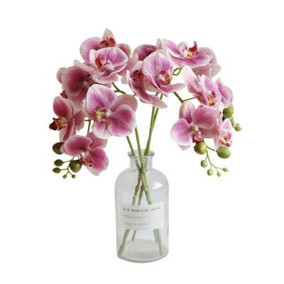 China Environmental Friendly Wholesale Potted Phalaenopsis Orchid Plants Artificial Flowers for sale