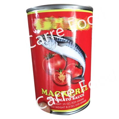 China Canned mackerel by geisha canned/mackerel fish/canned mackerel geisha 155g for sale