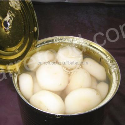 China canned water chestnut in tin box for sale