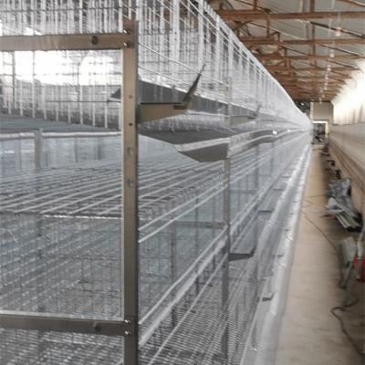 China Multifunction Supplied Farms Chicken Layer Cage Price Chicken House Zber Chicken for sale