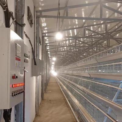 China Farms Low Price 2023 Best Price Automatic Chicken Cage for sale