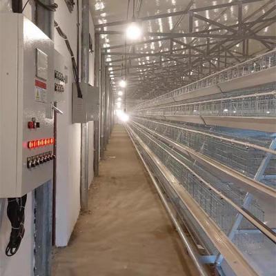 China Farms 3 rows 4 rows lay chicken egg cage battery cages for chicken farm for sale