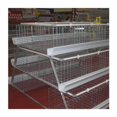 China Automatic Farms Chicken Farm 3 Tiers 4 Tiers One Type Battery Poultry Layer Cage For Sale for sale