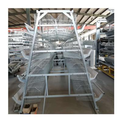 China Farms Poultry Farming Automatic Lay A Type Battery Chicken Layer Cage for sale