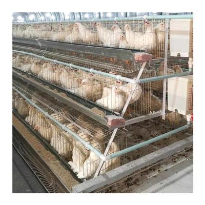 China Farms 4 rows 160 birds raise more chickens automatic one type battery egg layer chicken cages for sale