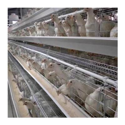 China Farms Poultry Farm Equipment 3 Rows 4 Rows One Type Battery Installation Automatic Chicken Egg Layer Cage for sale