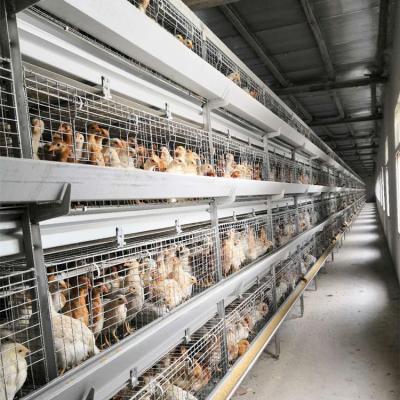 China Farms 4 Tiers Grow More Chickens Automatic One Type Battery Egg Layer Chicken Cages for sale