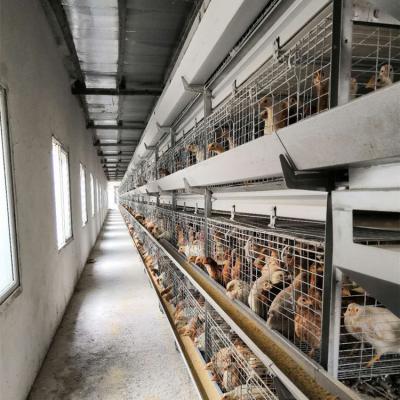 China Automatic Farms Poultry Farm Laying Layers Equipment System Battery Layer Chicken Cage for sale