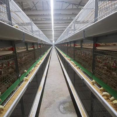 China Farms Philippines Layer Chicken Cages Poultry House Cage Multifunctional Egg Chicken Cage System Metal Supplied Portable Chicken Cage for sale