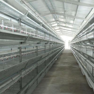 China Farms Chicken Egg Farm Equipment Layer Battery Cages Layers Poultry Cage for sale