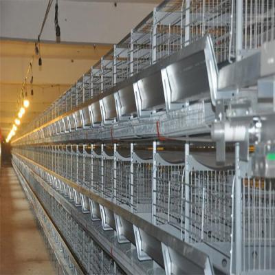 China Cultivate Laying Layer Poultry Farm Chicken Layer Egg Best Price Automatic Battery Cages for sale