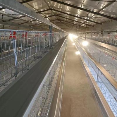 China Breeds Best Price Poultry Raising Machine Chicken Egg Laying Hens Lay Cages For Sale Multifunctional Supplied Chicken Laying Laying Box for sale