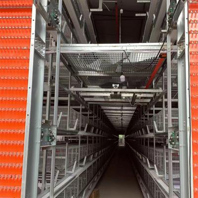 China Farms Poultry Farming Automatic Lay A Type Battery Chicken Layer Cage for sale