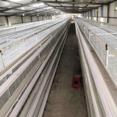 China Farms Factory Price Layer Broiler Pullet Chicken Cage For Poultry Farm for sale