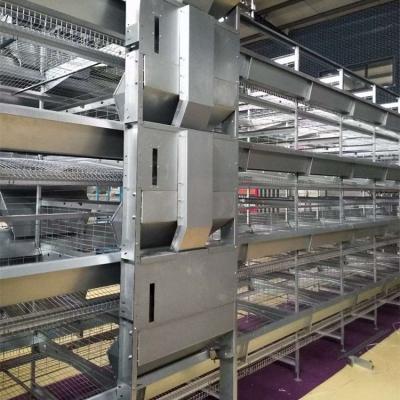 China Farms Egg Layer Farm Equipment A Full Automatic Type Battery Chicken Poultry Cage for sale