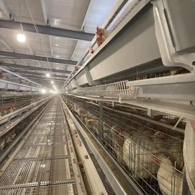 China Farms Design Automatic Battery Egg Chicken Layer Cage Battery Cages For Ghana Farm for sale