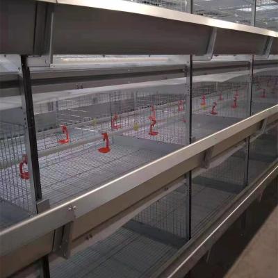 China Cultivates Layer Baby Day Old Chicks / Broiler Chicks Used H Type Automatic Chicken Cage System for sale