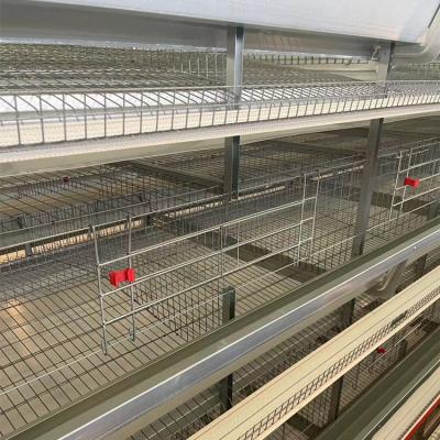 China Hot Selling Automatic Farms H Frame Chicken Poultry Farm Cage For Pullets for sale