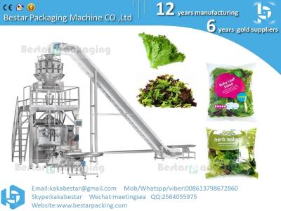 China Fresh vegetable leaf salad garden salad packing machine for sale